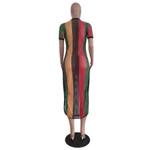 Load image into Gallery viewer, Mesh Stripe Printed Dress (CL11802)
