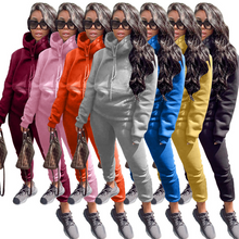 Load image into Gallery viewer, Wholesale new leisure solid color hooded plush  sportswear 2PC （CL9267）
