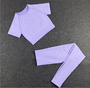 Wholesale  seamless knitting fitness short sleeve pants Yoga suit 2PC（CL8825）