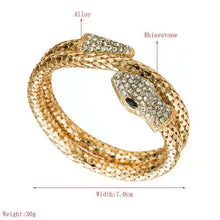 Load image into Gallery viewer, New Punk Snake Alloy Bracelet Set with Diamond(A0096)
