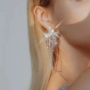 Splendid Diamond Zircon Tassel Long Earrings (A0134)