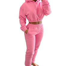 Load image into Gallery viewer, Wholesale spring and winter Plush sports leisure suit 2PC（CL9597）
