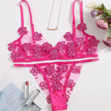Load image into Gallery viewer, Sexy Suit Ladies Embroidery Applique Mesh Underwear (Cl9844)
